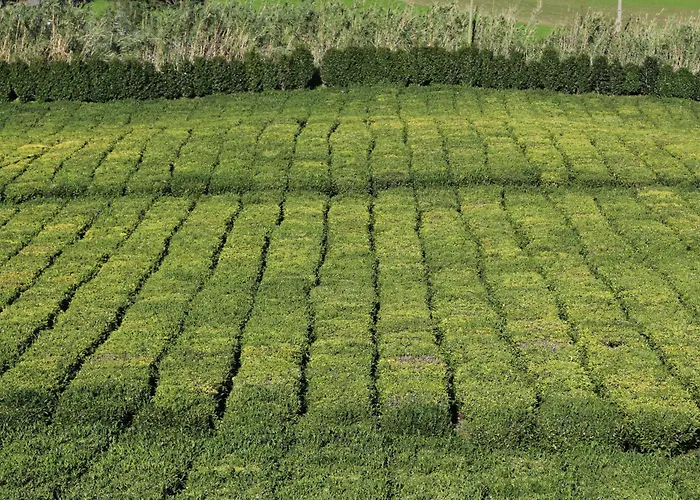 Sea House Ferienhaus *