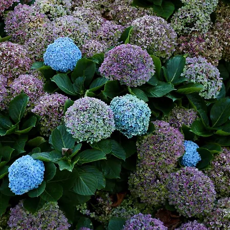 Casa vacanze Sea House