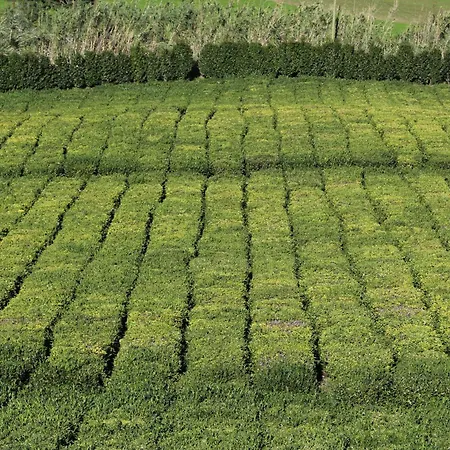 Sea House Vakantiehuis *